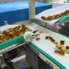 Food machine grade conveyor belt