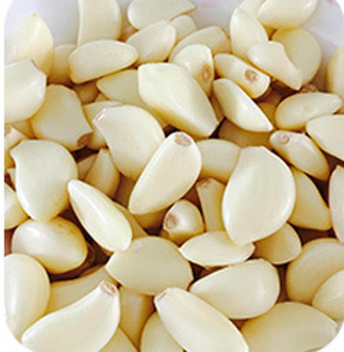 Remove Garlic Clove Skin by Automatic Garlic Peeling Machine