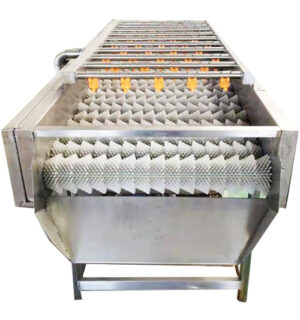 BRUSH ROLLER WASHING MACHINE